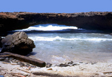 Una delle spiagge dell'isola 