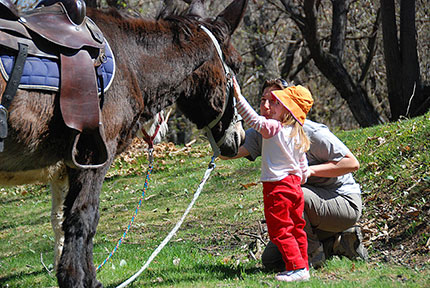 Week-end con gli asinelli in Piemonte