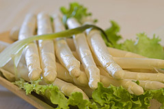Grado celebra l'asparago bianco