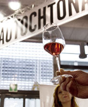 I vini autoctoni a Bolzano