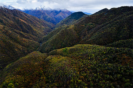 Autunno nell'Oasi Zegna. Foto: Mattias