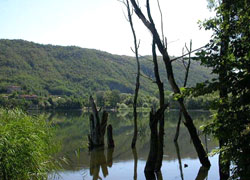 Il parco naturale dei Laghi di Avigliana