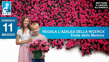 La mamma si festeggia con un'azalea