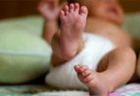 La nursery di Linate e Malpensa