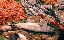 Scegli il pesce giusto