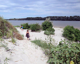 Nella Bassa Ferrarese, tra "tajadèl" e corse al trotto 1 Il punto in cui si separa il Po di Goro da quello detto di Venezia