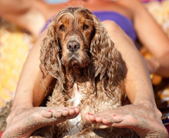 Al mare con gli amici a quattrozampe 4 Al mare con gli amici a quattrozampe
