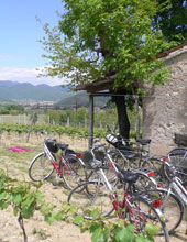 Pedalare nella Franciacorta