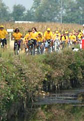 Per buongustai sportivi