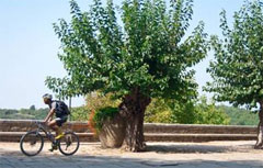 San Martino in bicicletta