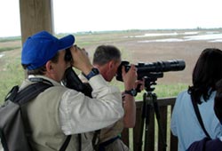 A Comacchio la fiera di birdwatching