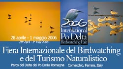 A Comacchio la fiera di birdwatching