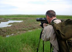 Lezioni di fotografia e di birdwatching