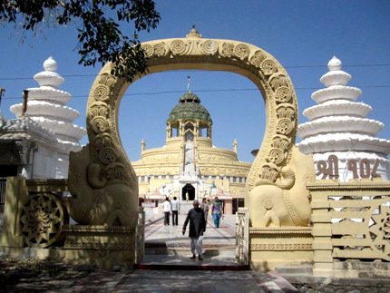 Gujarat: Leoni asiatici, templi e notti da Nababbi