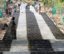 Gujarat: Leoni asiatici, templi e notti da Nababbi 4 Gujarat: Leoni asiatici, templi e notti da Nababbi