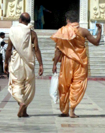 Gujarat: Leoni asiatici, templi e notti da Nababbi 5 Gujarat: Leoni asiatici, templi e notti da Nababbi