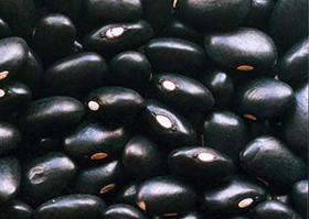 Feijoada Fagioli neri alla base della ricetta