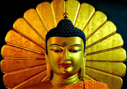 In India seguendo Buddha