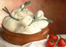 Burrata pugliese