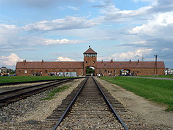 Il lungo binario di Auschwitz-Birkenau