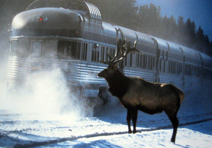 Il Canadian sfreccia sulle innevate Rocky Mountains
