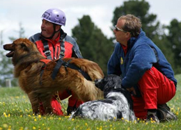 Addestramento primaverile