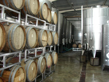 Vini di Tunisia 1 Botti all'interno della cantina tunisina Atlas