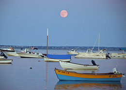 Barche al largo di Provincetown. Credit: Cape Cod Chamber of Commerce