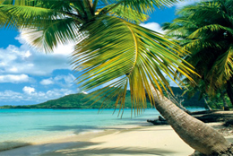 Vacanze da sogno ai Caraibi