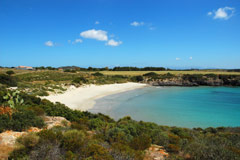 Carloforte in Sardegna