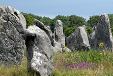 Menhir Il complesso megalitico di Carnac in Bretagna