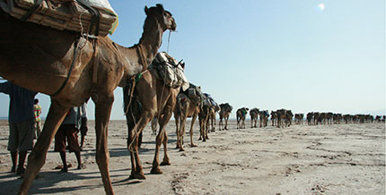 La carovana del sale, in viaggio con i tuareg