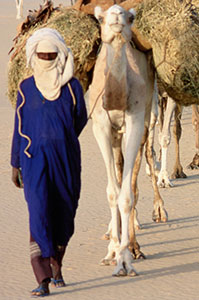 La carovana del sale, in viaggio con i tuareg