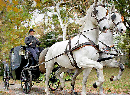 Il tour si fa in carrozza