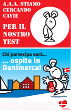 AAA cercasi volontari per la Danimarca