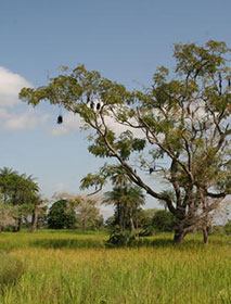 Viaggiatori responsabili Paesaggio di Casamance, nel sud del Paese