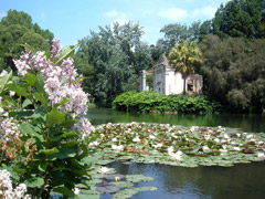 Reggia di Caserta, giardino all'inglese con il laghetto e le ninfee