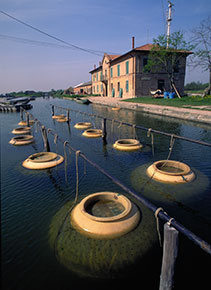 Nel Parco del Delta del Po per vivere la Primavera