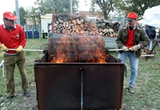 Campora per gli amanti del marrone 1 Festa del Marrone, preparazione