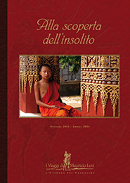 I Viaggi di Maurizio Levi