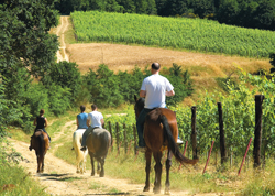 Agriturismo italiano, prezzi stabili