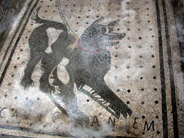 Il mosaico romano a Pompei, nella Casa del Poeta Tragico