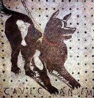 Cave Canem, 