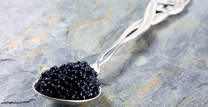 Scrittori da assaggiare tra vino, vodka e caviale