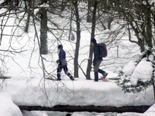 Passeggiata pomeridiana e notturna sulla neve