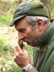 Sua maestà il tartufo bianco 1 Cercatore di tartufo