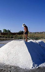 Le saline di Cervia