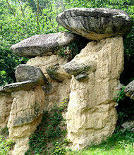 cranberry Ciciu con il "cappello" in testa