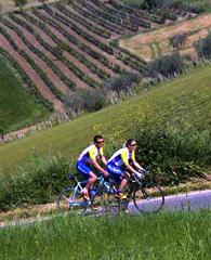 Vacanza tra i vitigni 1 Vacanza tra i vitigni