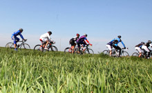 In bicicletta lungo le strade dell'entroterra di Cervia